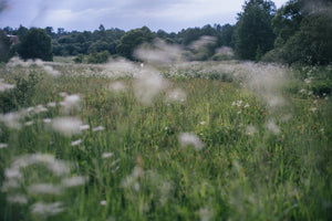 How to Make a Blanket Fluffy Again