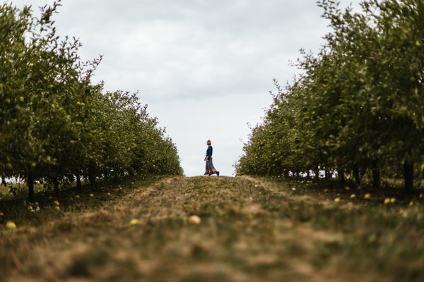 woman stands at he edge of an orchard with apple trees on each side of her the caption reads 
